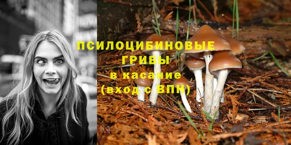 дмт Беломорск