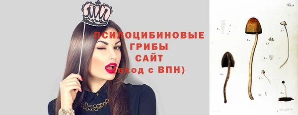 ECSTASY Балабаново