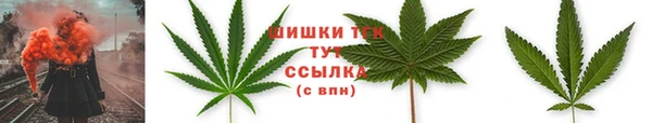 spice Белокуриха