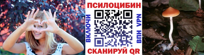 хочу   Комсомольск  Псилоцибиновые грибы MAGIC MUSHROOMS 